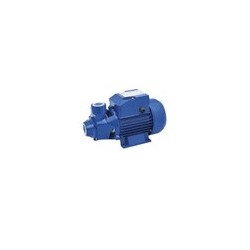 MOTO POMPE 0.5 CV  QB60